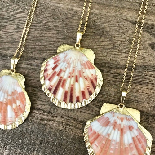 Gold Dipped Scallop Pink Shell Seashell 