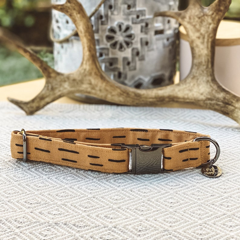 Rajah Dog Collar