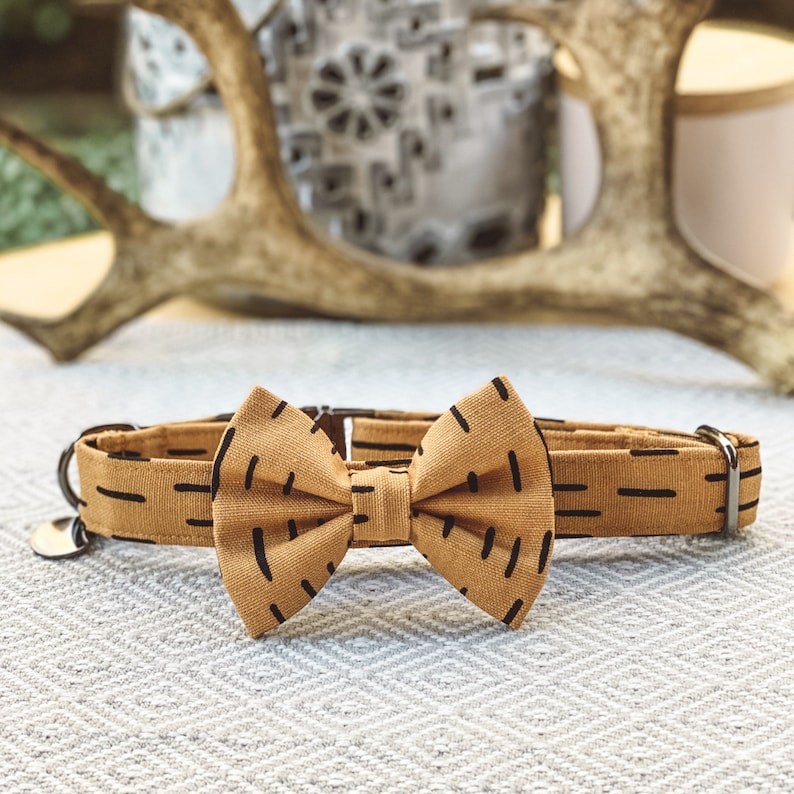 Rajah Dog Collar
