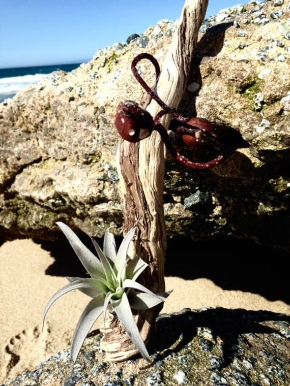 Air Plant On Beach Wood Cute Desk Accessories Housewarming Etsy