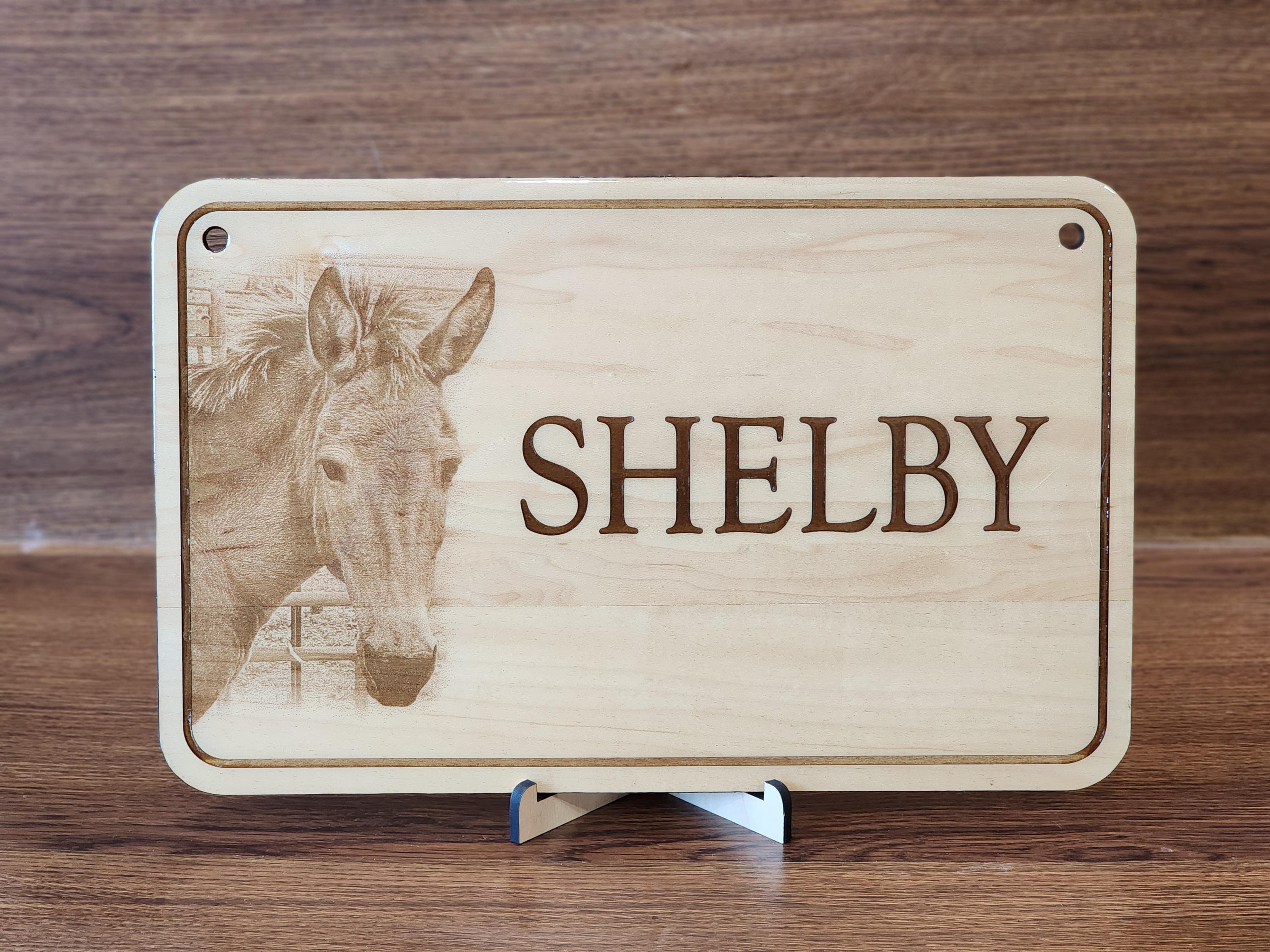 Plaque écurie Personnalisée – Cadeau Unique Pour Passionné De Chevaux, Style Highland