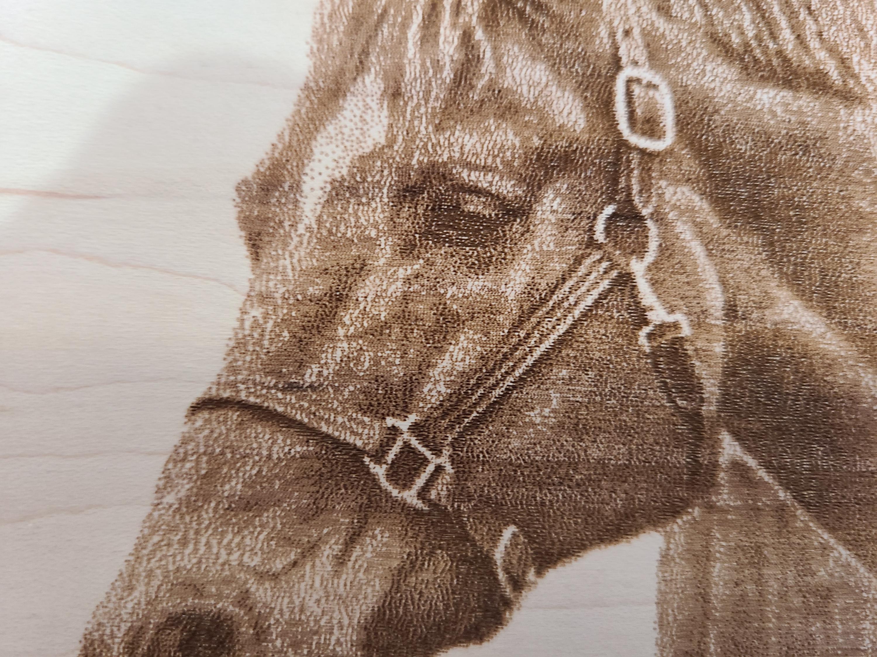 Plaque écurie Personnalisée – Cadeau Unique Pour Passionné De Chevaux, Style Highland