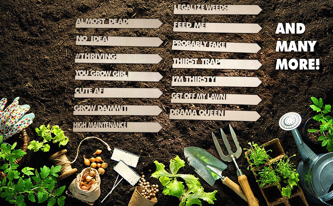 Funny Garden Plant Stake: Biodegradable Wood Herb Label - Etsy