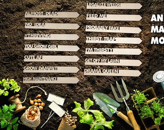 Funny Garden Plant Stake: Biodegradable Wood Herb Label