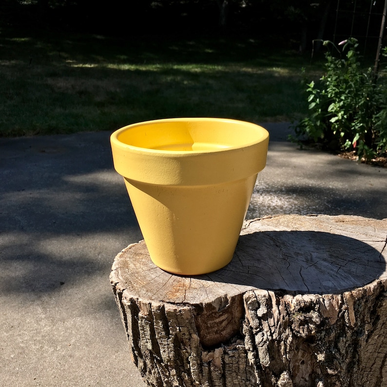 Yellow /& Caramel Orange Garden Decor Home Decor Burgundy Hand Painted: Brown Set of 5 Fall Color Terra Cotta 6 Inch Flower Pots