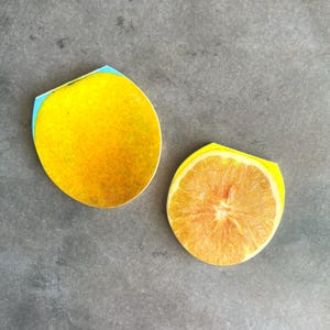 Rare Vintage Citrus Fruit Mini Notepads Lot of 2, 1980s, Orange and Lemon, Great for Handbag or Backpack, Made in Taiwan, Yung Hsin