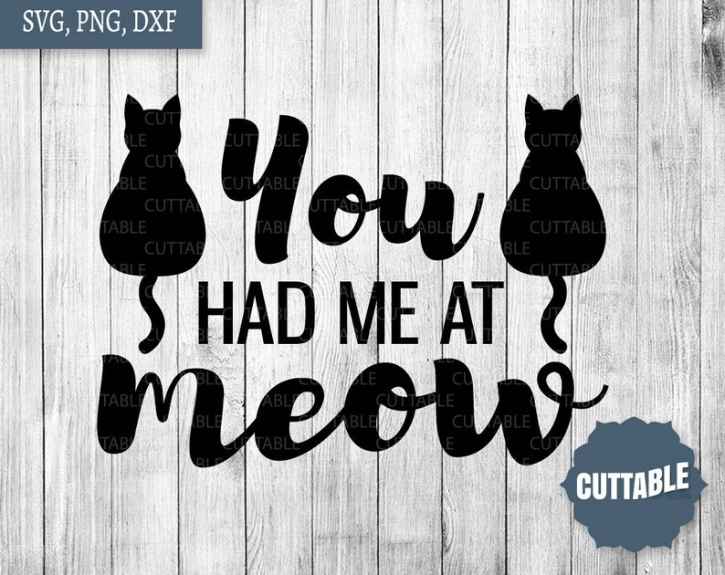 Cat Quote Svg Files Meow Quote Cut Files You Had Me at Meow Etsy