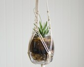 Macrame Plant Hanger