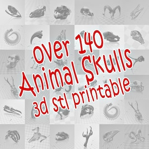 May include: A collection of grey animal skulls, including a ram, dog, and bird skulls, arranged in a grid. The image features the text "over 140 Animal Skulls 3d stl printable" in red.