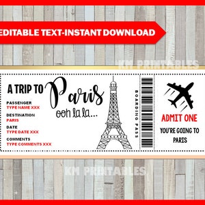 Paris Birthday Boarding Pass Gift, Surprise Trip, Getaway, Holiday, Printable Plane Ticket, Voucher, Editable, INSTANT DOWNLOAD