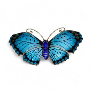 JA&S English Antique Large Silver Enamel Butterfly Brooch