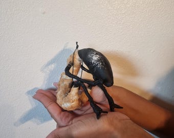 May include: A sculptural figurine depicting a black beetle with a textured, matte finish and white speckled markings on its back, shown grasping a curved, light tan, fibrous, worm-like object with its dark, articulated legs.