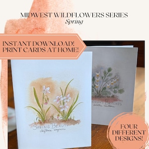 Tarjetas de notas en blanco para imprimir, Trillium, Dutchman's Britches, Bloodroot, Spring Beauty, letras a mano, pintura de acuarela original de la naturaleza