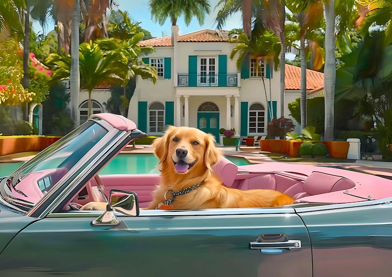Op de afbeelding: Een golden retriever hond zit op de passagiersstoel van een vintage cabriolet met een roze interieur. De auto staat geparkeerd voor een groot wit huis met een zwembad.