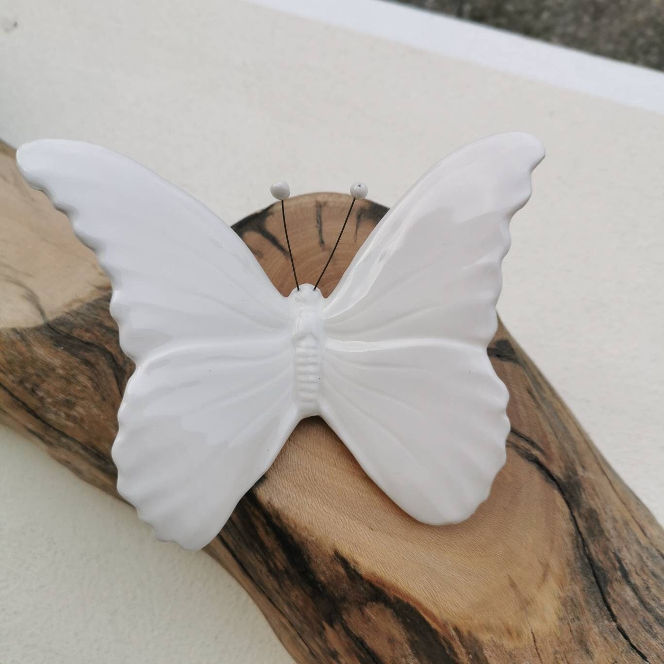 Balsa wood butterfly -  Italia