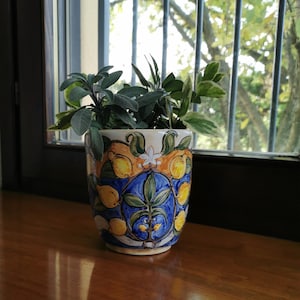 Pot for plants and flowers, vase for aromatic herbs, decorative vase for the kitchen, jars for aromatic kitchen plants, painted lemons