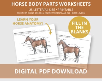 Horse Body Parts Worksheet | Educational Horse Activities | Points of Horse | Equine Anatomy Resource | PDF Digital Download