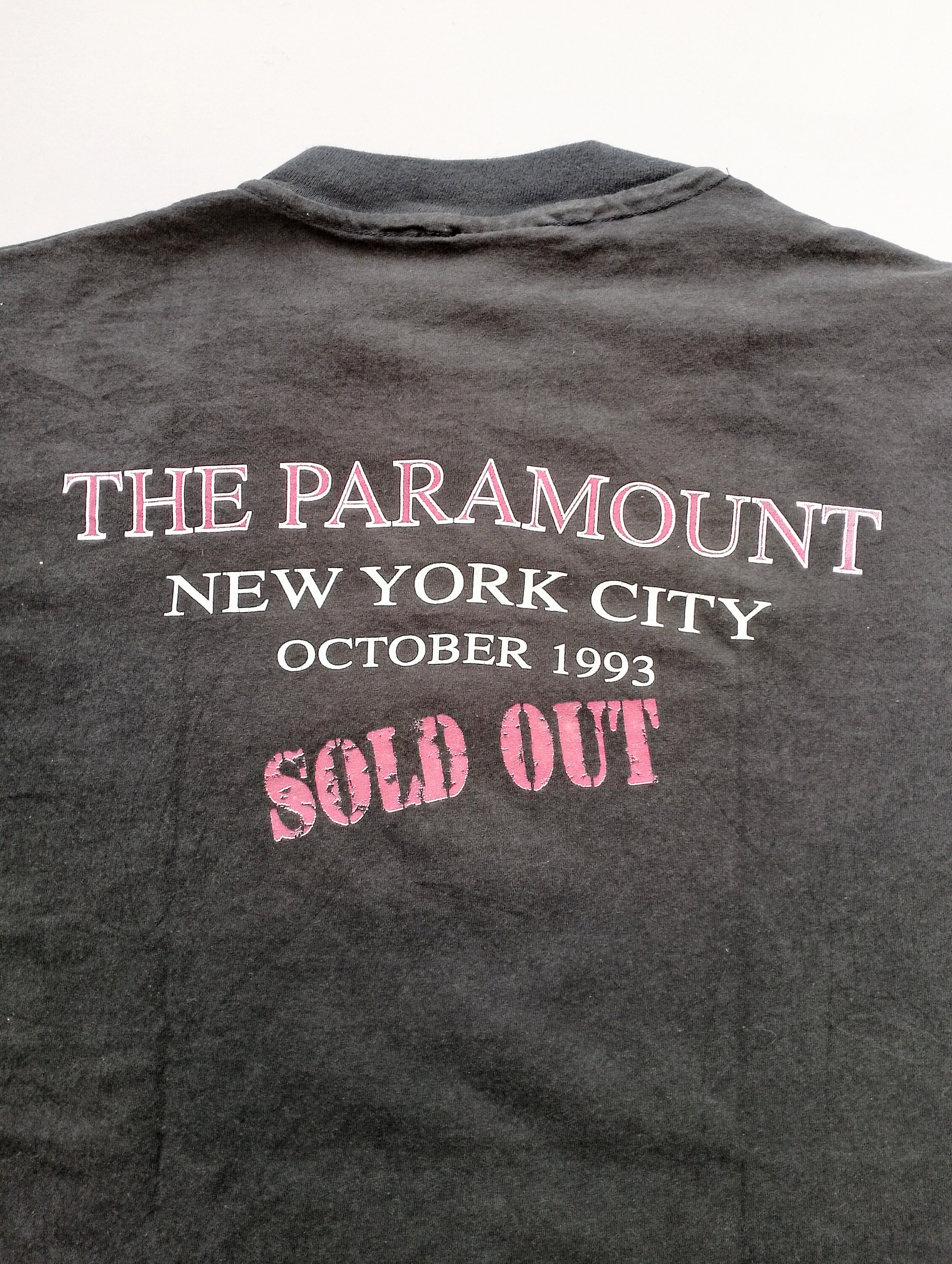 Vintage 1993 Simon and Garfunkel the Concert of A Lifetime the 