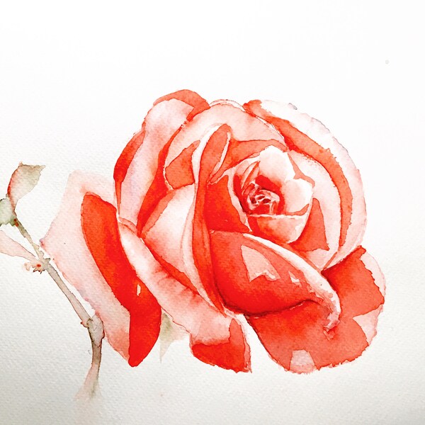 Watercolor  Original Aquarelle Painting / Rose / Love rose / home decor / Art /  Gift / watercolour Gift Aquarelle / roses / Wall decor