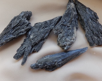 Small Black Kyanite blades