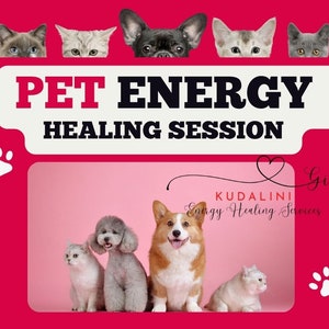 ペットのエネルギーヒーリング ペットの健康セッションのための動物レイキセッション 動物のエネルギーのバランス調整 ペットのエネルギーバランス調整セッション ストレスを和らげるペット