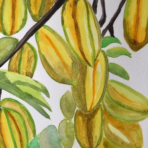Star Fruit Wall Art, Tropical Artwork, Exotic Food Art Prints, Caribbean Kitchen Art, Carambola Watercolor Decor image 7