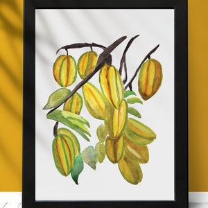 Star Fruit Wall Art, Tropical Artwork, Exotic Food Art Prints, Caribbean Kitchen Art, Carambola Watercolor Decor image 6