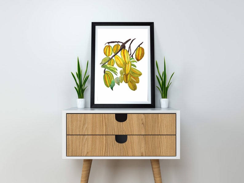 Star Fruit Wall Art, Tropical Artwork, Exotic Food Art Prints, Caribbean Kitchen Art, Carambola Watercolor Decor image 4