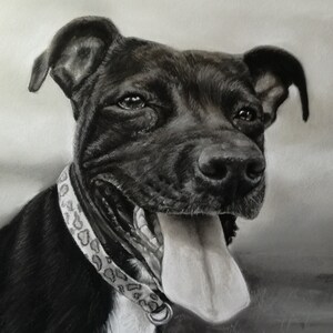 Dog portrait Pet Portrait Custom pet portrait Custom pet painting  from photo Personalized portrait Pet memorial Pet portrait commission