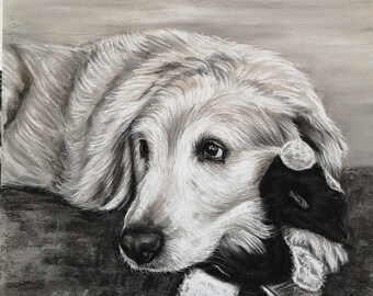 Sketch from photo Custom Pet Portrait Custom pet painting Custom Dog portrait Pet memorial Pet portraits Pet lovers gift Dog mom