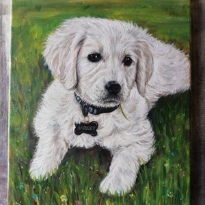 May include: A white puppy with a black collar and a tag that says "BARKLEY" is lying in a field of green grass with small flowers.