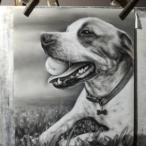 Pu&ograve; includere: Disegno in bianco e nero di un cane con una palla in bocca. Il cane &egrave; sdraiato in un campo d'erba. La palla dice "Firecon" su di essa.