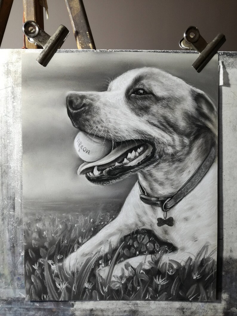 Pu&ograve; includere: Disegno in bianco e nero di un cane con una palla in bocca. Il cane &egrave; sdraiato in un campo d'erba. La palla dice "Firecon" su di essa.