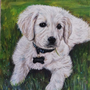 May include: A white puppy with a black collar and a bone-shaped tag that says "BARKLEY" is sitting in a field of green grass with small blue and pink flowers.