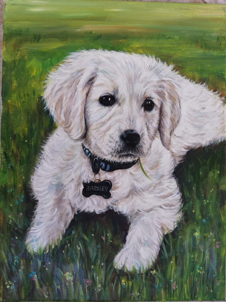May include: A white puppy with a black collar and a bone-shaped tag that says "BARKLEY" is sitting in a field of green grass with small blue and pink flowers.