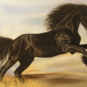 May include: A black horse with a long flowing mane and tail leaps into the air against a light blue and yellow sky.
