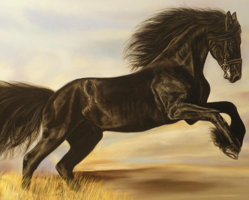 May include: A black horse with a long flowing mane and tail leaps into the air against a light blue and yellow sky.