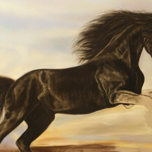 May include: A black horse with a long flowing mane and tail leaps through the air against a soft, colourful background.