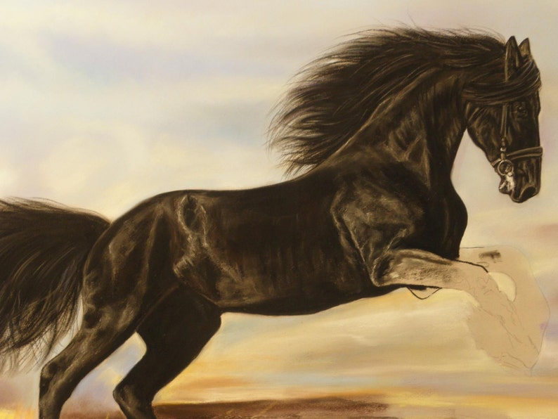 May include: A black horse with a long flowing mane and tail leaps through the air against a soft, colourful background.