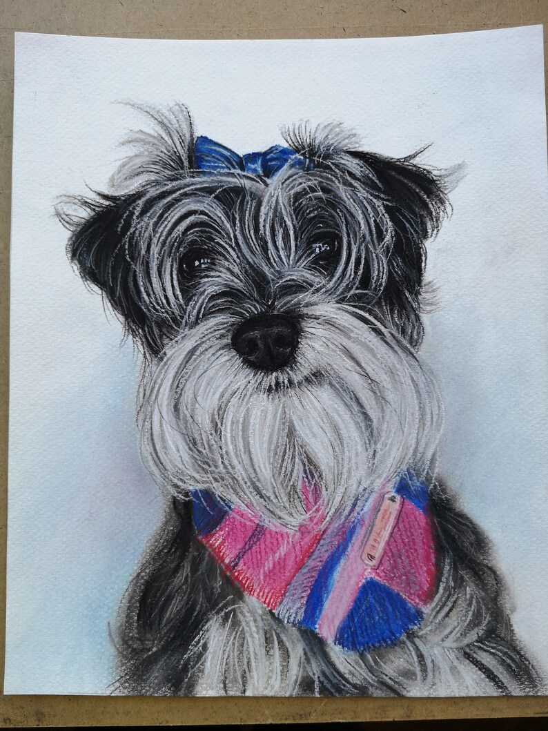 May include: A watercolor painting of a small, black and white dog with a blue bow and a pink and blue patterned bandana. The dog has a white beard and a serious expression.