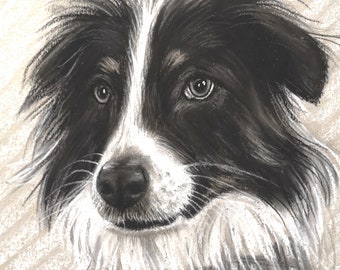 Custom Pet Portrait  Dog Portrait Pet Sketch from photo Pet loss gifts commission Dog