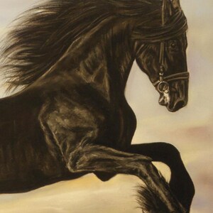 May include: A black horse with a long flowing mane and tail leaps through the air. The horse is wearing a black bridle with a silver buckle.