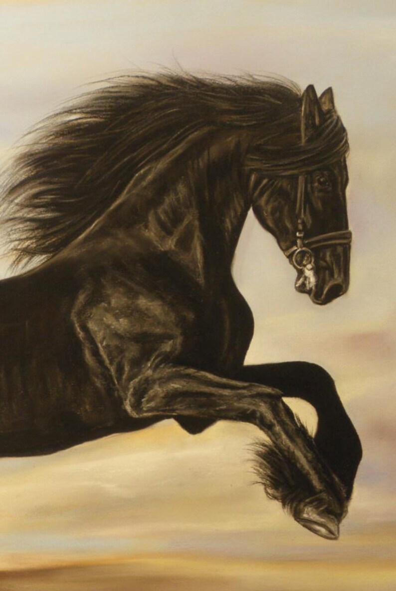 May include: A black horse with a long flowing mane and tail leaps through the air. The horse is wearing a black bridle with a silver buckle.