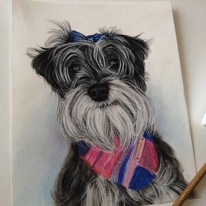 May include: A black and white dog with a blue bow and a pink and blue plaid bandana. The dog is drawn in a realistic style with charcoal and colored pencils.