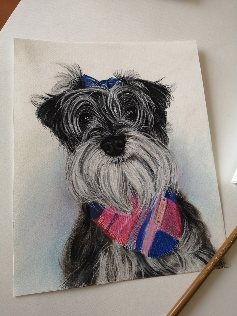 May include: A black and white dog with a blue bow and a pink and blue plaid bandana. The dog is drawn in a realistic style with charcoal and colored pencils.