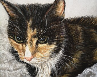 Può includere: Primo piano di un gatto tricolore con occhi verdi, sdraiato su una superficie bianca testurizzata. Il gatto ha il pelo nero, arancione e bianco.