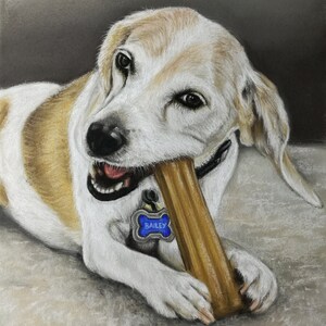 Benutzerdefinierte Hund Hund Portrait Porträtmalerei aus Foto Pet Memorial Geschenk Malerei
