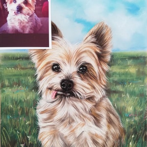 May include: A pastel painting of a small, brown and white dog with a long, fluffy coat. The dog is sitting in a field of green grass with pink flowers. The dog has its tongue sticking out and is looking at the camera.