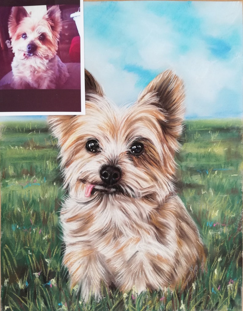 May include: A pastel painting of a small, brown and white dog with a long, fluffy coat. The dog is sitting in a field of green grass with pink flowers. The dog has its tongue sticking out and is looking at the camera.
