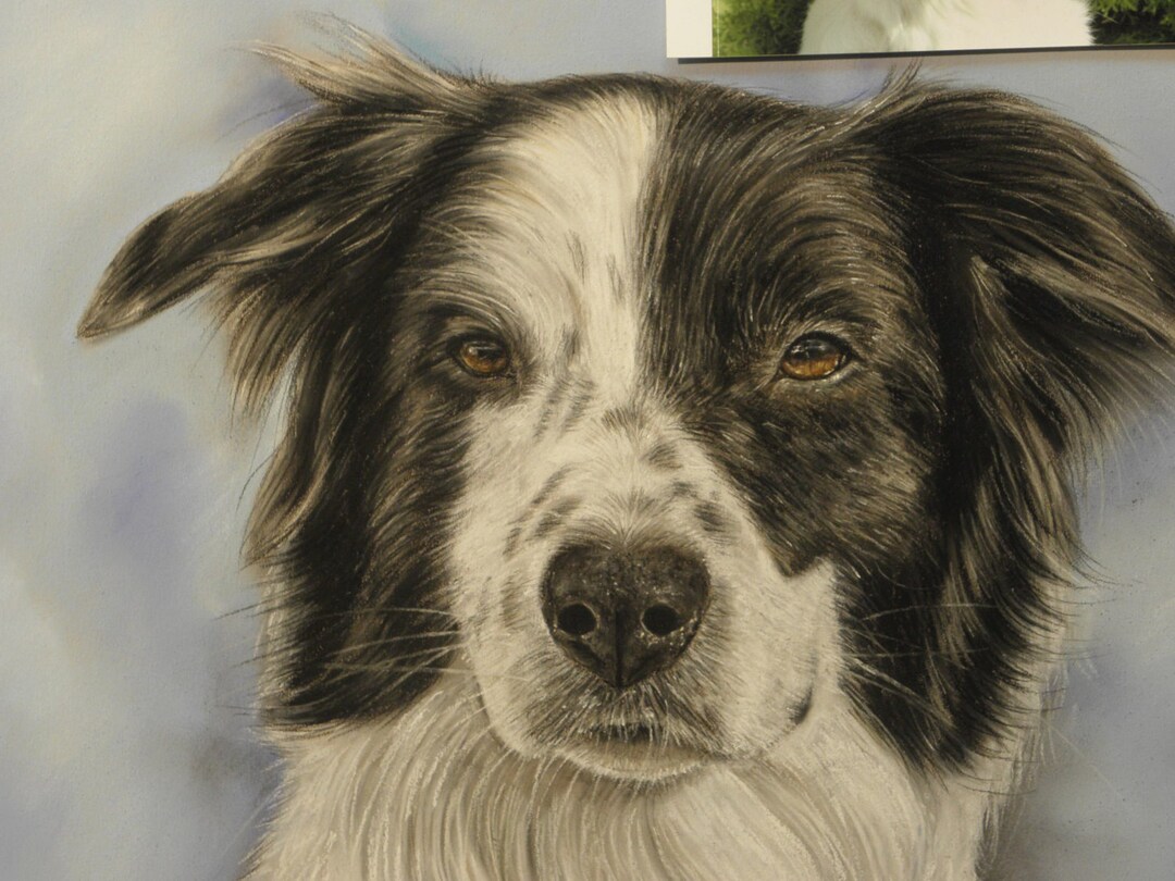Custom Pet Portrait From Photo Pet Portraits Custom Dog Painting Custom ...